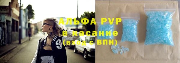 сатива Волоколамск