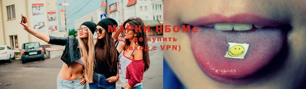 сатива Волоколамск