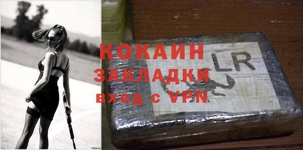 сатива Волоколамск