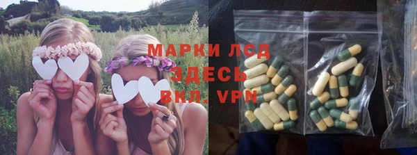 сатива Волоколамск